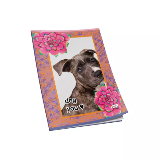 Füzet A5, 40lap, kockás 80g. papír, glitteres Connect – Tonerklinika Debrecen