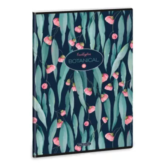 Füzet iskolai A4, 40lap, sima Ars Una EUCALYPTUS (5253) 23 10db/csomag – Tonerklinika Debrecen