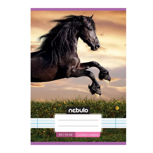 Füzet, A5, 1. osztályos vonalas, 14-32, Cuki minták, 16 db/csomag Nebulo – Tonerklinika Debrecen