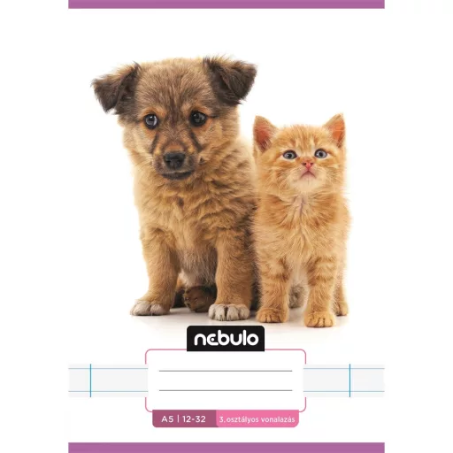 Füzet, A5, 3. osztályos vonalas, 12-32, Cuki minták, 16 db/csomag Nebulo – Tonerklinika Debrecen