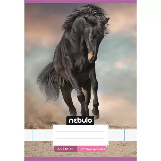 Füzet, A5, 3. osztályos vonalas, 12-32, Cuki minták, 16 db/csomag Nebulo – Tonerklinika Debrecen