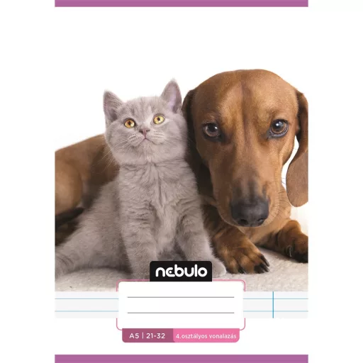 Füzet, A5, 4. osztályos vonalas, 21-32, Cuki minták, I., 16 db/csomag Nebulo – Tonerklinika Debrecen