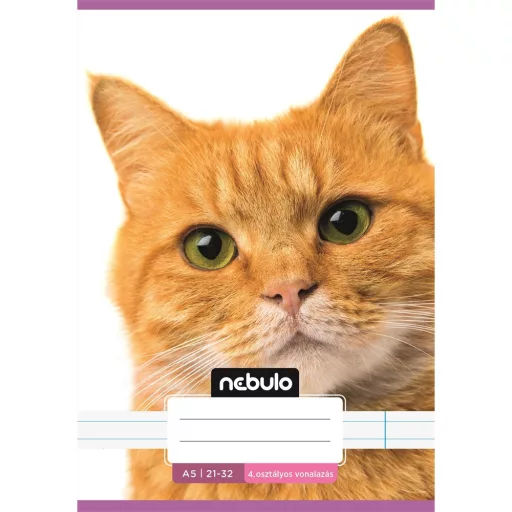 Füzet, A5, 4. osztályos vonalas, 21-32, Cuki minták, I., 16 db/csomag Nebulo – Tonerklinika Debrecen