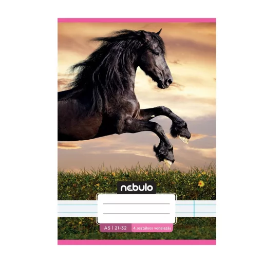 Füzet, A5, 4. osztályos vonalas, 21-32, Cuki minták, II., 16 db/csomag Nebulo – Tonerklinika Debrecen