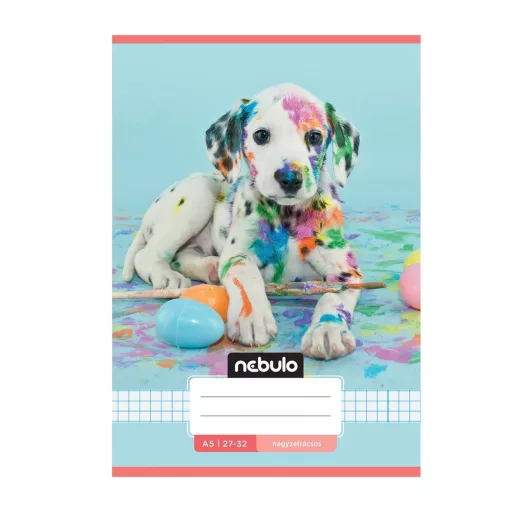 Füzet, A5, kockás, 27-32, Cuki minták, 16 db/csomag Nebulo – Tonerklinika Debrecen