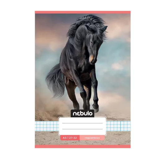 Füzet, A5, kockás, 27-32, Cuki minták, 16 db/csomag Nebulo – Tonerklinika Debrecen