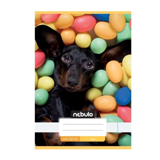 Füzet, A5, sima, 20-32, Cuki minták, 16 db/csomag Nebulo – Tonerklinika Debrecen