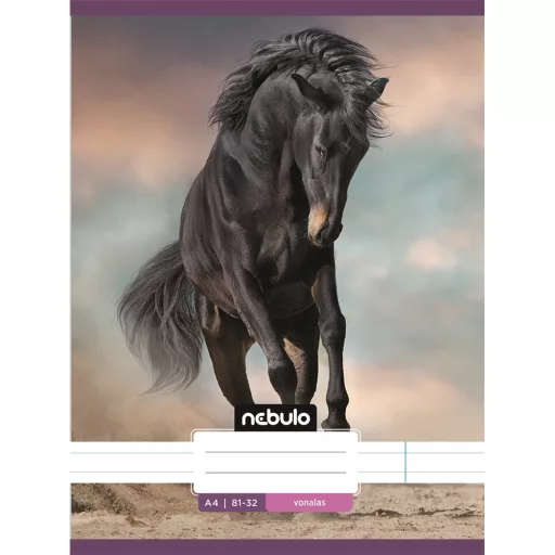 Füzet, A4, vonalas 81-32, L-Design minták, 12 db/csomag Nebulo – Tonerklinika Debrecen