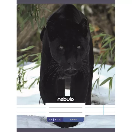 Füzet, A4, vonalas, 81-32, Állatos minták, 12 db/csomag Nebulo – Tonerklinika Debrecen