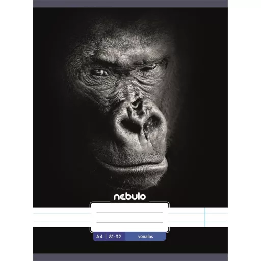 Füzet, A4, vonalas, 81-32, Állatos minták, 12 db/csomag Nebulo – Tonerklinika Debrecen