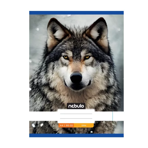 Füzet, A4, sima, 80-32, Állatos minták, 12 db/csomag Nebulo – Tonerklinika Debrecen