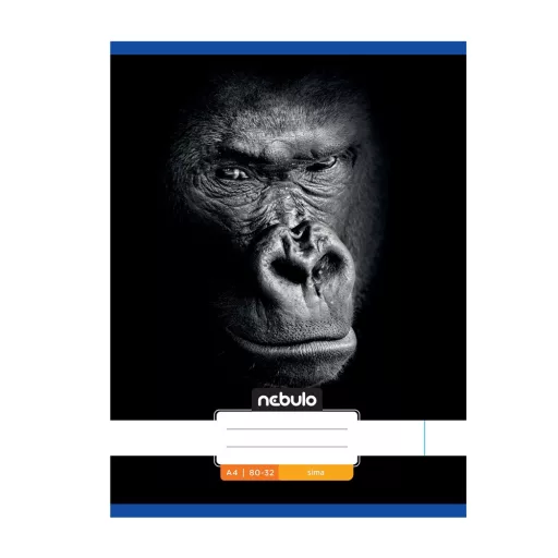 Füzet, A4, sima, 80-32, Állatos minták, 12 db/csomag Nebulo – Tonerklinika Debrecen