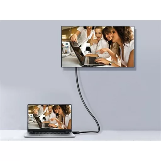 Equip Kábel - 119261 (Premium, DisplayPort1.4 kábel, 8K/60Hz, apa/apa, fekete, 1m)