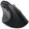 Bluestork Vezeték nélküli Egér - M-WL-ERGO-LUMI (Ergonomic, Rechargeable, 2400 DPI, 6 gomb, optikai, fekete)