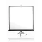 EliteScreens 136" (1:1) mobil háromlábú vászon T136UWS1 (244 x 244 cm, Fekete)